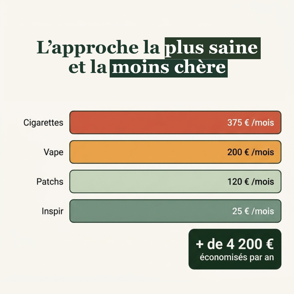 Inhalateur Naturel Sans Nicotine – AIRPUR | Alternative Cigarette