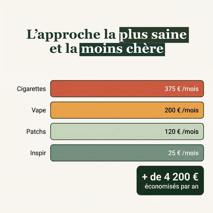 Inhalateur Naturel Sans Nicotine – AIRPUR | Alternative Cigarette